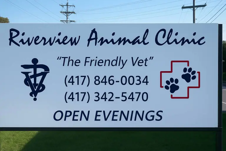 Pet Safety with Guests and Busy Household Visits
